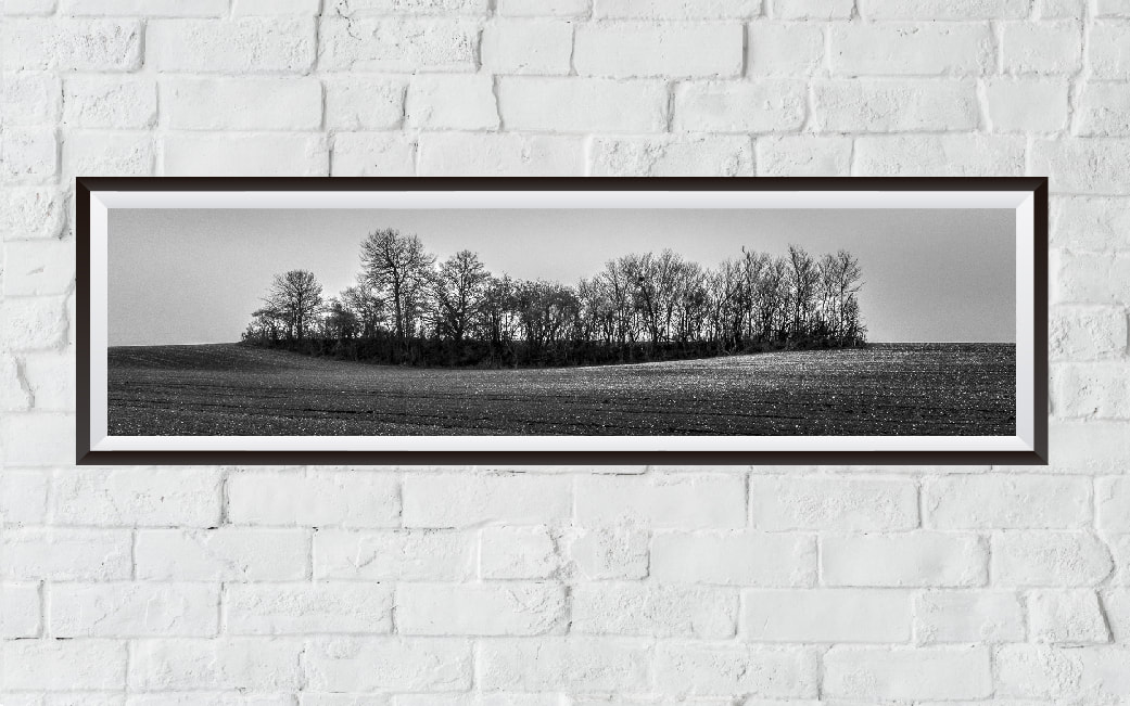 Een panorama fotokader op een witte stenen muur, met een ingekaderde zwart-wit foto van een landschap met bomen in Tistledump, Frankrijk.